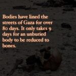 Hāwane Rios Instagram – amplifying the powerful words of my sis @sofiasamarah
“When we learn about terrible things that happened in history, imagery of skulls and bones are always used to illustrate how truly barbaric the situation was.
To illustrate the barbaric nature of the perpetrators.
The perpetrators did not allow the dead to be buried. The perpetrators left the dead in the street. The perpetrators collected the dead into piles. The perpetrators did not think of or respect the bodies. The perpetrators were barbaric monsters who’s only purpose was to destroy.
One day in the future, when people learn about Palestine, they’ll see the images of bones scattered across the streets, and the barbaric situation that allowed for these images to exist.
One day in the future, when people learn about Palestine, they’ll ask us how this was able to happen. They’ll ask us why such barbarism occurred. They’ll ask us who the perpetrators were.
And people like me will remember exactly how this happened. And which of you, all of you, said nothing, and did nothing, and let my people die.”