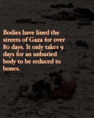 Hāwane Rios Instagram - amplifying the powerful words of my sis @sofiasamarah 

“When we learn about terrible things that happened in history, imagery of skulls and bones are always used to illustrate how truly barbaric the situation was. 

To illustrate the barbaric nature of the perpetrators. 

The perpetrators did not allow the dead to be buried. The perpetrators left the dead in the street. The perpetrators collected the dead into piles. The perpetrators did not think of or respect the bodies. The perpetrators were barbaric monsters who’s only purpose was to destroy. 

One day in the future, when people learn about Palestine, they’ll see the images of bones scattered across the streets, and the barbaric situation that allowed for these images to exist. 

One day in the future, when people learn about Palestine, they’ll ask us how this was able to happen. They’ll ask us why such barbarism occurred. They’ll ask us who the perpetrators were. 

And people like me will remember exactly how this happened. And which of you, all of you, said nothing, and did nothing, and let my people die.”