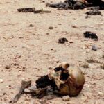 Hāwane Rios Instagram – amplifying the powerful words of my sis @sofiasamarah 

“When we learn about terrible things that happened in history, imagery of skulls and bones are always used to illustrate how truly barbaric the situation was. 

To illustrate the barbaric nature of the perpetrators. 

The perpetrators did not allow the dead to be buried. The perpetrators left the dead in the street. The perpetrators collected the dead into piles. The perpetrators did not think of or respect the bodies. The perpetrators were barbaric monsters who’s only purpose was to destroy. 

One day in the future, when people learn about Palestine, they’ll see the images of bones scattered across the streets, and the barbaric situation that allowed for these images to exist. 

One day in the future, when people learn about Palestine, they’ll ask us how this was able to happen. They’ll ask us why such barbarism occurred. They’ll ask us who the perpetrators were. 

And people like me will remember exactly how this happened. And which of you, all of you, said nothing, and did nothing, and let my people die.”