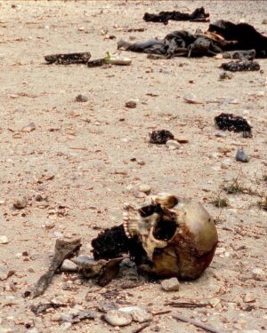 Hāwane Rios Instagram - amplifying the powerful words of my sis @sofiasamarah 

“When we learn about terrible things that happened in history, imagery of skulls and bones are always used to illustrate how truly barbaric the situation was. 

To illustrate the barbaric nature of the perpetrators. 

The perpetrators did not allow the dead to be buried. The perpetrators left the dead in the street. The perpetrators collected the dead into piles. The perpetrators did not think of or respect the bodies. The perpetrators were barbaric monsters who’s only purpose was to destroy. 

One day in the future, when people learn about Palestine, they’ll see the images of bones scattered across the streets, and the barbaric situation that allowed for these images to exist. 

One day in the future, when people learn about Palestine, they’ll ask us how this was able to happen. They’ll ask us why such barbarism occurred. They’ll ask us who the perpetrators were. 

And people like me will remember exactly how this happened. And which of you, all of you, said nothing, and did nothing, and let my people die.”