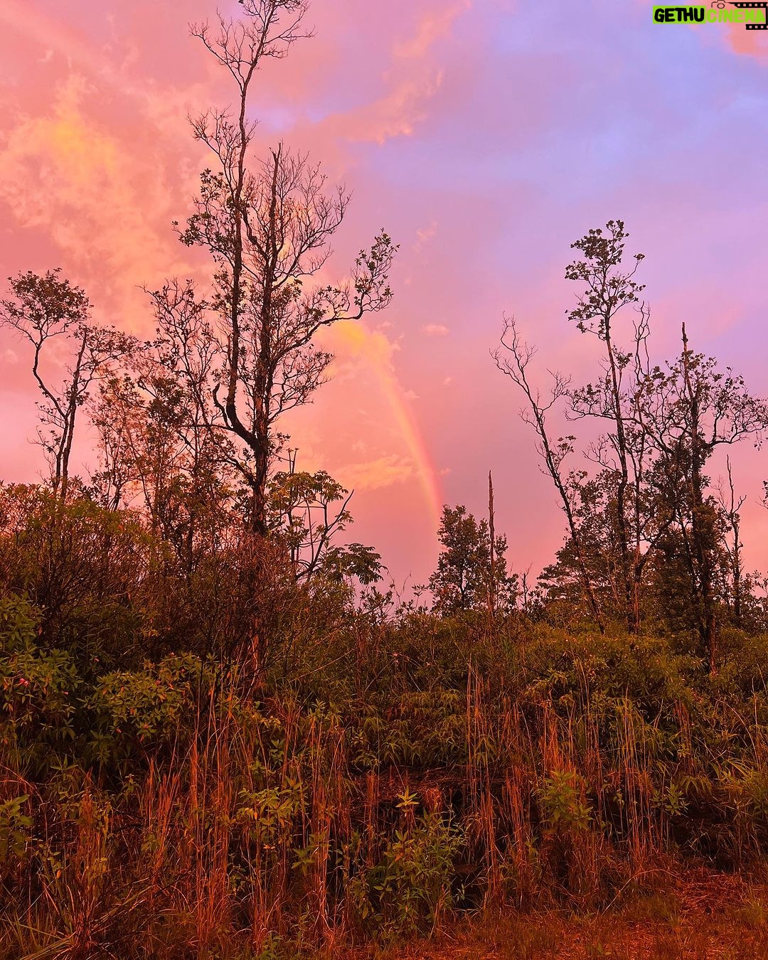 Hāwane Rios Instagram - my beloved adores twilight she loves to see the night make way for the day so much so that when i wake up before sunrise all i see is Hōpoelehua in land and sky to hold and be held by her and everything she loves what a gift today i poured honey on my heart and welcomed the storms of Lono within & without i leaned deeply into the sweetness of fresh rain on lehua blossoms and sang sweet songs for a world that has become too bitter waiho‘olu‘u(lu‘u kaumaha)