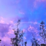 Hāwane Rios Instagram - my beloved adores twilight she loves to see the night make way for the day so much so that when i wake up before sunrise all i see is Hōpoelehua in land and sky to hold and be held by her and everything she loves what a gift today i poured honey on my heart and welcomed the storms of Lono within & without i leaned deeply into the sweetness of fresh rain on lehua blossoms and sang sweet songs for a world that has become too bitter waiho‘olu‘u(lu‘u kaumaha)