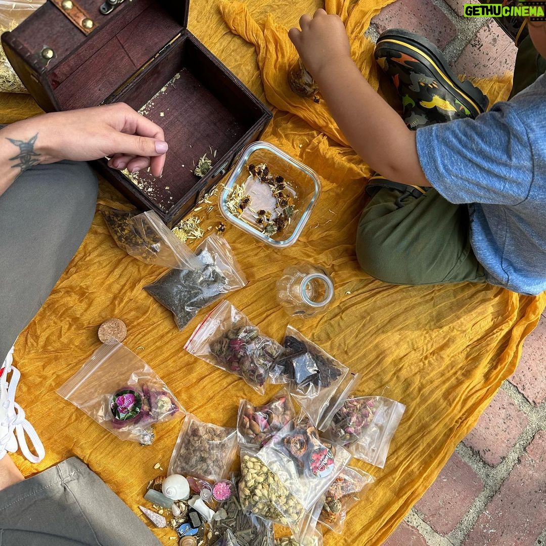 Halsey Instagram - not pictured: me splitting myself in two everyday so that I can give you my deepest wounds (and a handful of perfect joys) for the 5th time in 10 years.