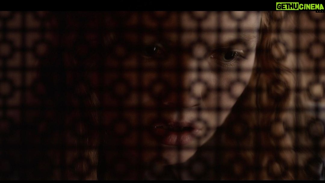 Halyna Hutchins - 1.7K Likes - Stills from coming of age horror film Darlin’ directed by @pollyannamcintosh and shot by @halynahutchins featuring @njnoone, @bryan_batt and @lauryncanny. Gaffer: Serge Svetnoy Colorist: @kalm_pictures #darlinthemovie #horrormovies #horrorfilm #comingofage #thewomansequel #cinematography #cinematographer #dp #director #femaledirector #irishactors #womeninfilm #framez #icfc #sitges2019 #sxsw2019 #bifan