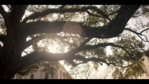 Halyna Hutchins Instagram - Pastels. Stills from horror feature film Darlin’ I shot directed by @pollyannamcintosh. Color by  @kalm_pictures.  #cinematography #cinematographer #dop #darlinthemovie #director #horror #featurefilm #horrorfilm #pastels #cameradivision #womeninfilm #icfc #comingofage #sxsw2019 #sitges2019  #bifan #fangoria