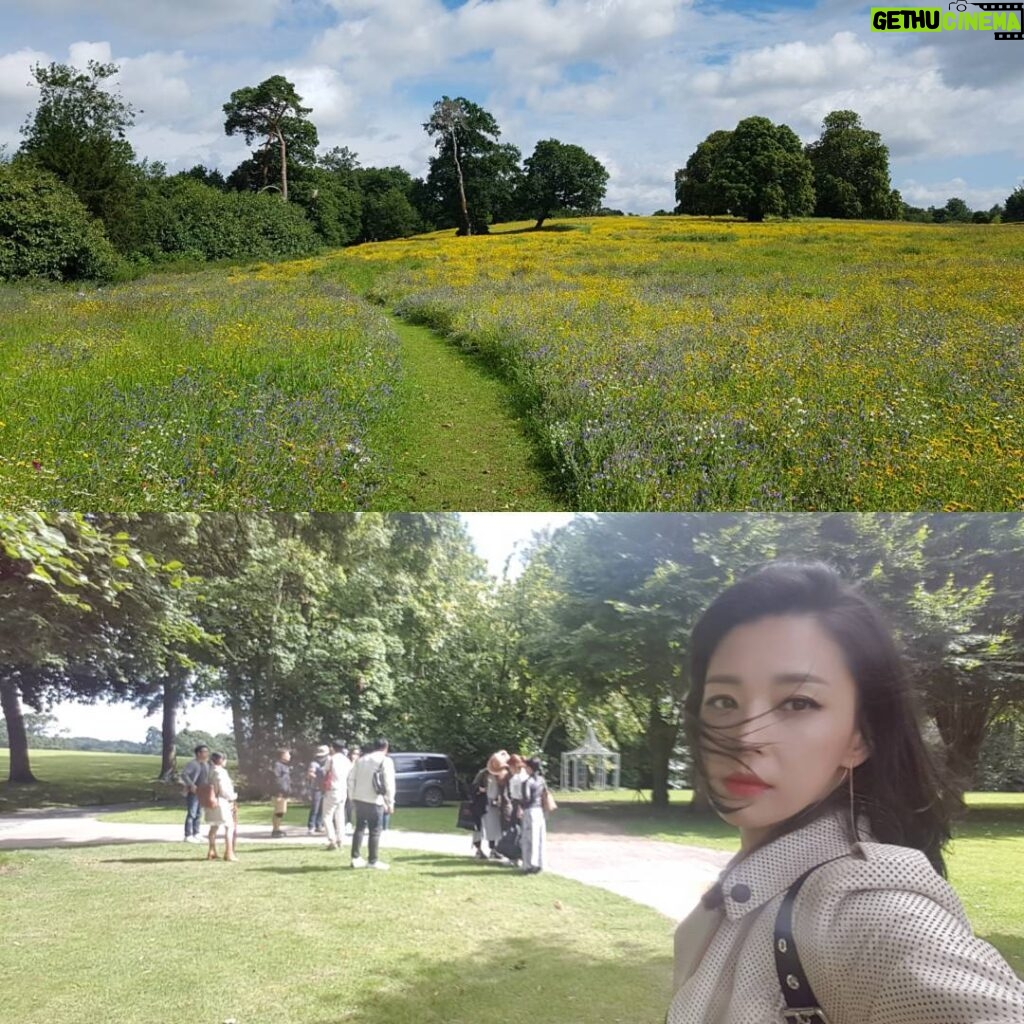 Han Go-eun Instagram - 꽃들 만발 참으로 예쁜데.. 난.. 춥다.. 런던은 참 춥다.... 더운물도 잘 안나온다.. ㅜㅠ..