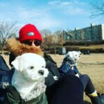 Han Go-eun Instagram – #한강 나들이.. 햇볕이 따스해.. 그저 간만에.. 날이  좋아.. 온식구들 광합성 한번  해 보았네여.. 이렇게 봄 맞이해 봅니다~^^