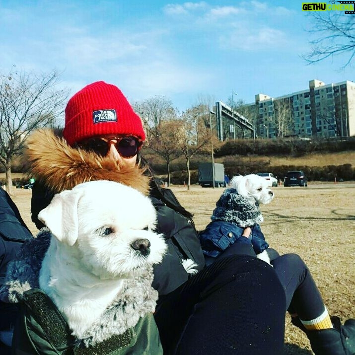 Han Go-eun Instagram - #한강 나들이.. 햇볕이 따스해.. 그저 간만에.. 날이 좋아.. 온식구들 광합성 한번 해 보았네여.. 이렇게 봄 맞이해 봅니다~^^