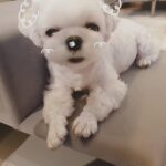 Han Go-eun Instagram - 간만의 휴식에 집에서 이런 놀이도~~~