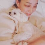 Han Go-eun Instagram – 모두모두 포근하고 따스한 설연휴 보내시길 바래요~~
새해복 담뿍 받으세요~♡