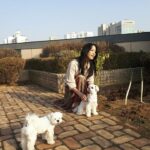 Han Go-eun Instagram - #엘샵 #22Fw #라우렐 #롯데홈쇼핑 #플라워버튼 #폭스풀오버 #사가폭스 #구스다운 어느새 부쩍 쌀쌀하진 날씨에 겨울이구나 온몸으로 느껴지는 11월 마지막 자락에 시간이 정말 빠르구나..새삼 느끼네요. 겨울에는 역시 따스하고 포근한 구스다운 이네요. 나이를 새삼 느끼는건.. 옷이던 가방이던 무거우면 일단 포기..ㅎㅎ 너무 가볍구 따스하게.. 니트는 가볍게 그냥 살에 닿아도 무리없는..편안함이 최고인듯요. 여러분 포근하고 따스한 .안전한 겨울 되셔요~