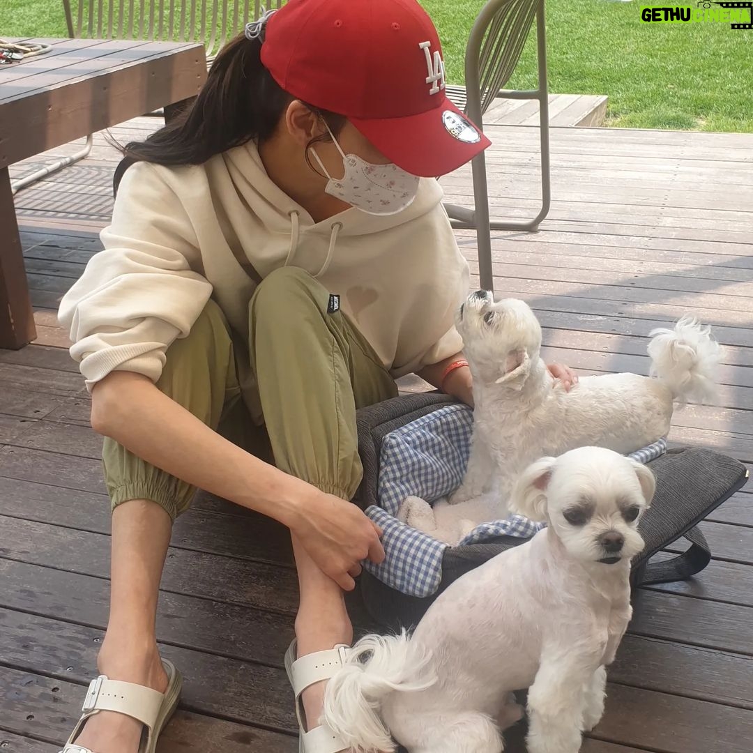 Han Go-eun - 2.5K Likes - 감사한 휴식중 입니다.
구필수는 없다 많이 사랑해주세요♡