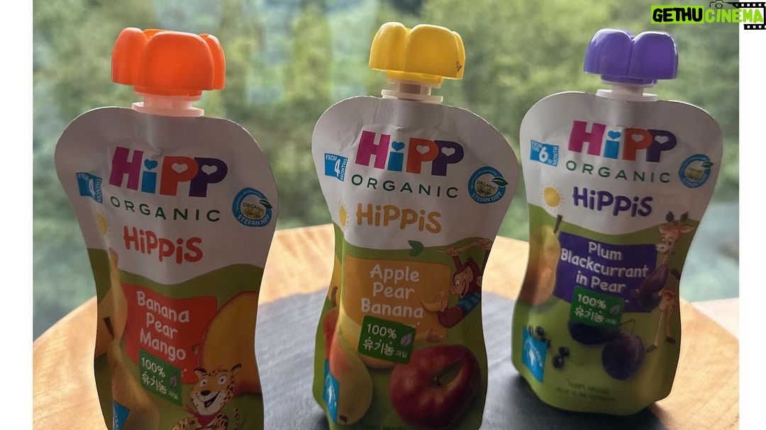 Han Ji-hye Instagram - @hipp_korea 힙분유 좋은거 엄마들은 다 아실텐데요^^ 영양성분도 좋고!! 아가들 좋은 응가(?) 도 잘하게 되고 여러가지 장점이 많아요. 또, 과일 퓨레는 외출시 간식 먹이기 정말 편안해요~ 찡찡 거릴때, 간식타임때 먹이면 간편하고 좋아요! 역시 #세계No.1 #유기농영유아식브랜드! #hipp 입니다👍🏻🤍💙🙌🏻