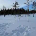 Hande Erçel Instagram – Kar-Kış-Güzelliks 🌌 Lapland, Finland
