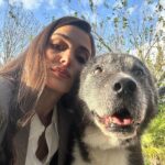 Hande Erçel Instagram - Leylalık 🌹