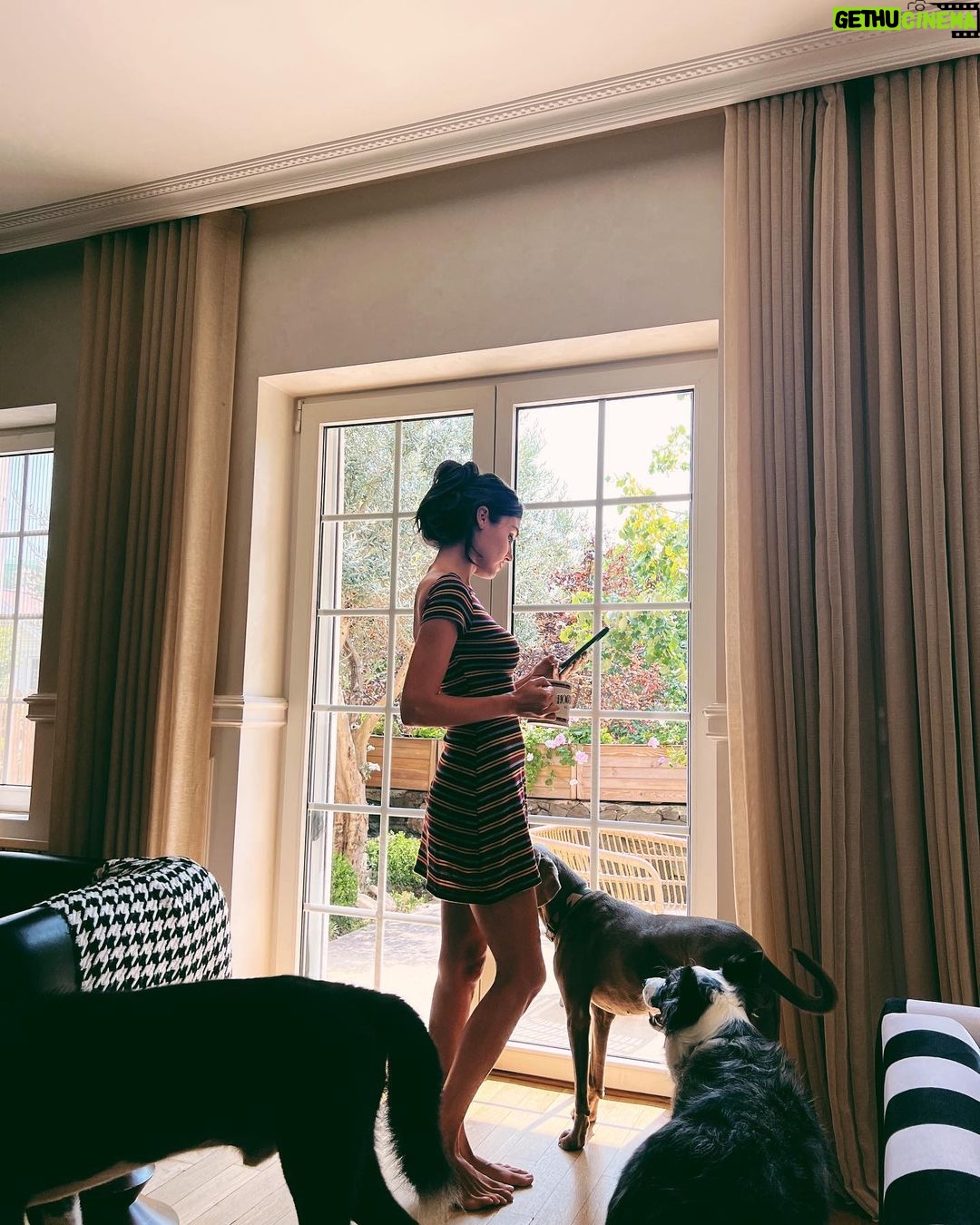 Hande Erçel Instagram - 🏡&🐾🐾🐾&☕️ 📷 @gamze_ercel
