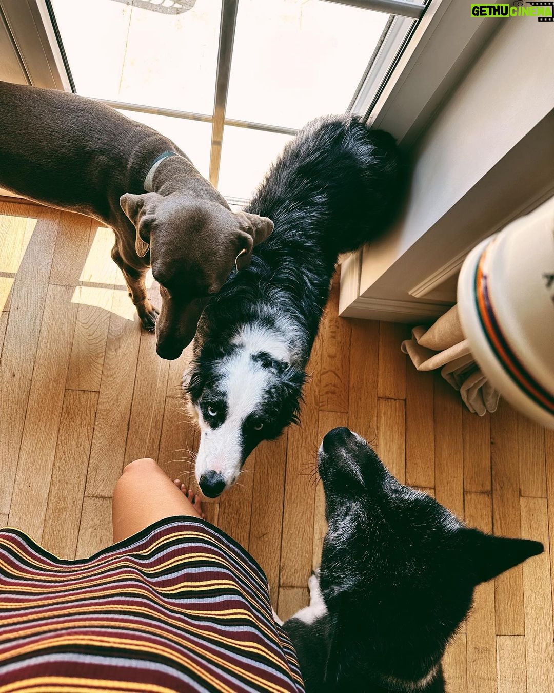 Hande Erçel Instagram - 🏡&🐾🐾🐾&☕️ 📷 @gamze_ercel