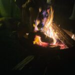 Hande Yılmaz Instagram - üç ay süren ekimin bikaç günü