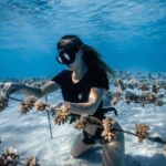 Hannah Stocking Instagram - Like any ecosystem, coral reefs can withstand and adapt to certain impacts. But the combination of multiple stresses of global changes in ocean temperature and acidification, with local pressures such as pollution, overfishing and declining water quality, has led to changes that could become irreversible within the next few decades. BUT! The team at @coralgardeners has plans to change that! They have found ways to plant SUPER CORALS which are a coral species strong enough to survive extreme conditions and rapid changes in the marine environment! 🐠🐋 I’m very proud be to an ambassador for @coralgardeners and continue to help fix the coral issue we are facing. The world needs more corals because 1) the ridges in coral reefs act as barriers providing crucial protection from threats such as tsunamis. 2) they help protect areas such as mangrove forests and seagrass beds that act as nurseries for marine animals, 3) just like plants, they provide oxygen for us to breathe! 🐡🦭 French Polynesia