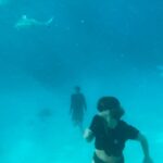 Hannah Stocking Instagram - Photo dump of MO’OREA 🐋🧚‍♂️🐙🦭MALAKAS FOR LIFE 🐋🇬🇷 Moorea
