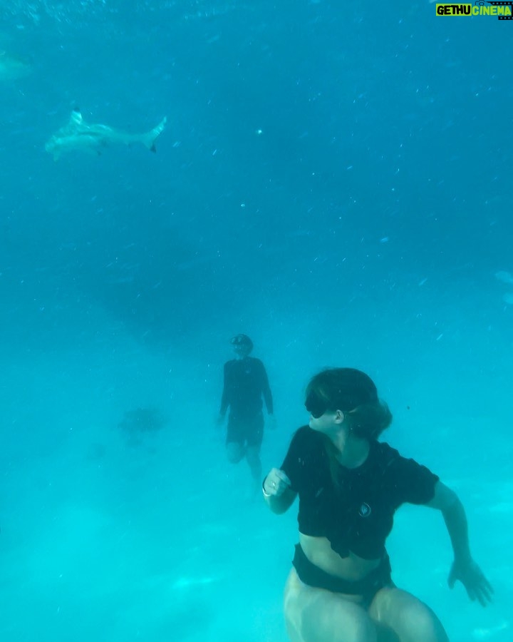 Hannah Stocking Instagram - Photo dump of MO’OREA 🐋🧚♂️🐙🦭MALAKAS FOR LIFE 🐋🇬🇷 Moorea