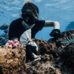 Hannah Stocking Instagram - Like any ecosystem, coral reefs can withstand and adapt to certain impacts. But the combination of multiple stresses of global changes in ocean temperature and acidification, with local pressures such as pollution, overfishing and declining water quality, has led to changes that could become irreversible within the next few decades. BUT! The team at @coralgardeners has plans to change that! They have found ways to plant SUPER CORALS which are a coral species strong enough to survive extreme conditions and rapid changes in the marine environment! 🐠🐋 I’m very proud be to an ambassador for @coralgardeners and continue to help fix the coral issue we are facing. The world needs more corals because 1) the ridges in coral reefs act as barriers providing crucial protection from threats such as tsunamis. 2) they help protect areas such as mangrove forests and seagrass beds that act as nurseries for marine animals, 3) just like plants, they provide oxygen for us to breathe! 🐡🦭 French Polynesia
