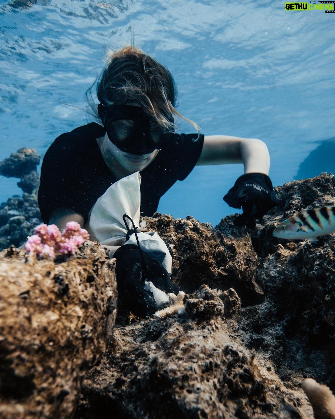 Hannah Stocking Instagram - Like any ecosystem, coral reefs can withstand and adapt to certain impacts. But the combination of multiple stresses of global changes in ocean temperature and acidification, with local pressures such as pollution, overfishing and declining water quality, has led to changes that could become irreversible within the next few decades. BUT! The team at @coralgardeners has plans to change that! They have found ways to plant SUPER CORALS which are a coral species strong enough to survive extreme conditions and rapid changes in the marine environment! π π Iβm very proud be to an ambassador for @coralgardeners and continue to help fix the coral issue we are facing. The world needs more corals because 1) the ridges in coral reefs act as barriers providing crucial protection from threats such as tsunamis. 2) they help protect areas such as mangrove forests and seagrass beds that act as nurseries for marine animals, 3) just like plants, they provide oxygen for us to breathe! π‘π¦ French Polynesia