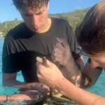 Hannah Stocking Instagram - Like any ecosystem, coral reefs can withstand and adapt to certain impacts. But the combination of multiple stresses of global changes in ocean temperature and acidification, with local pressures such as pollution, overfishing and declining water quality, has led to changes that could become irreversible within the next few decades. BUT! The team at @coralgardeners has plans to change that! They have found ways to plant SUPER CORALS which are a coral species strong enough to survive extreme conditions and rapid changes in the marine environment! 🐠🐋 I’m very proud be to an ambassador for @coralgardeners and continue to help fix the coral issue we are facing. The world needs more corals because 1) the ridges in coral reefs act as barriers providing crucial protection from threats such as tsunamis. 2) they help protect areas such as mangrove forests and seagrass beds that act as nurseries for marine animals, 3) just like plants, they provide oxygen for us to breathe! 🐡🦭 French Polynesia