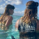 Hannah Stocking Instagram - Like any ecosystem, coral reefs can withstand and adapt to certain impacts. But the combination of multiple stresses of global changes in ocean temperature and acidification, with local pressures such as pollution, overfishing and declining water quality, has led to changes that could become irreversible within the next few decades. BUT! The team at @coralgardeners has plans to change that! They have found ways to plant SUPER CORALS which are a coral species strong enough to survive extreme conditions and rapid changes in the marine environment! 🐠🐋 I’m very proud be to an ambassador for @coralgardeners and continue to help fix the coral issue we are facing. The world needs more corals because 1) the ridges in coral reefs act as barriers providing crucial protection from threats such as tsunamis. 2) they help protect areas such as mangrove forests and seagrass beds that act as nurseries for marine animals, 3) just like plants, they provide oxygen for us to breathe! 🐡🦭 French Polynesia