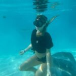 Hannah Stocking Instagram - Like any ecosystem, coral reefs can withstand and adapt to certain impacts. But the combination of multiple stresses of global changes in ocean temperature and acidification, with local pressures such as pollution, overfishing and declining water quality, has led to changes that could become irreversible within the next few decades. BUT! The team at @coralgardeners has plans to change that! They have found ways to plant SUPER CORALS which are a coral species strong enough to survive extreme conditions and rapid changes in the marine environment! 🐠🐋 I’m very proud be to an ambassador for @coralgardeners and continue to help fix the coral issue we are facing. The world needs more corals because 1) the ridges in coral reefs act as barriers providing crucial protection from threats such as tsunamis. 2) they help protect areas such as mangrove forests and seagrass beds that act as nurseries for marine animals, 3) just like plants, they provide oxygen for us to breathe! 🐡🦭 French Polynesia