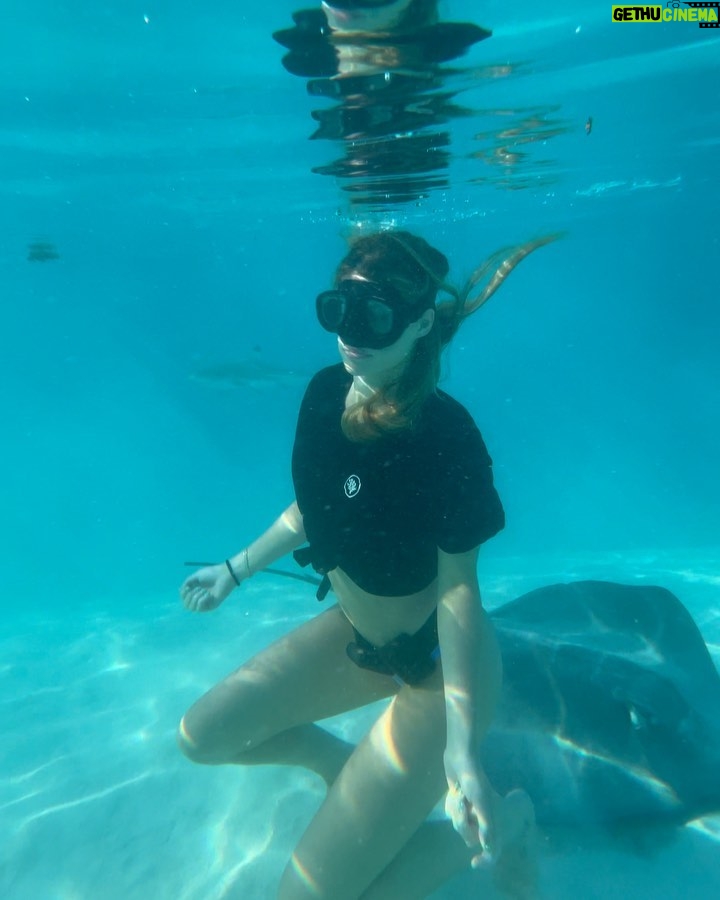 Hannah Stocking Instagram - Like any ecosystem, coral reefs can withstand and adapt to certain impacts. But the combination of multiple stresses of global changes in ocean temperature and acidification, with local pressures such as pollution, overfishing and declining water quality, has led to changes that could become irreversible within the next few decades. BUT! The team at @coralgardeners has plans to change that! They have found ways to plant SUPER CORALS which are a coral species strong enough to survive extreme conditions and rapid changes in the marine environment! π π Iβm very proud be to an ambassador for @coralgardeners and continue to help fix the coral issue we are facing. The world needs more corals because 1) the ridges in coral reefs act as barriers providing crucial protection from threats such as tsunamis. 2) they help protect areas such as mangrove forests and seagrass beds that act as nurseries for marine animals, 3) just like plants, they provide oxygen for us to breathe! π‘π¦ French Polynesia