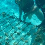 Hannah Stocking Instagram - Like any ecosystem, coral reefs can withstand and adapt to certain impacts. But the combination of multiple stresses of global changes in ocean temperature and acidification, with local pressures such as pollution, overfishing and declining water quality, has led to changes that could become irreversible within the next few decades. BUT! The team at @coralgardeners has plans to change that! They have found ways to plant SUPER CORALS which are a coral species strong enough to survive extreme conditions and rapid changes in the marine environment! 🐠🐋 I’m very proud be to an ambassador for @coralgardeners and continue to help fix the coral issue we are facing. The world needs more corals because 1) the ridges in coral reefs act as barriers providing crucial protection from threats such as tsunamis. 2) they help protect areas such as mangrove forests and seagrass beds that act as nurseries for marine animals, 3) just like plants, they provide oxygen for us to breathe! 🐡🦭 French Polynesia