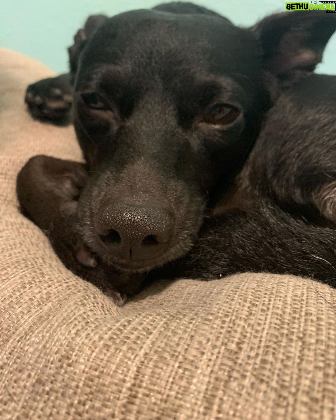 Harry-James Thornton Instagram - Nana 😴