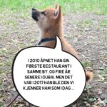 Hasse Hope Instagram – Valpen min har blitt storyteller! Håper dere vil gi ham den respekten og oppmerksomheten han fortjener 🙂