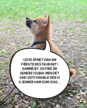 Hasse Hope Instagram - Valpen min har blitt storyteller! Håper dere vil gi ham den respekten og oppmerksomheten han fortjener 🙂