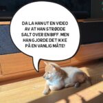 Hasse Hope Instagram – Valpen min har blitt storyteller! Håper dere vil gi ham den respekten og oppmerksomheten han fortjener 🙂