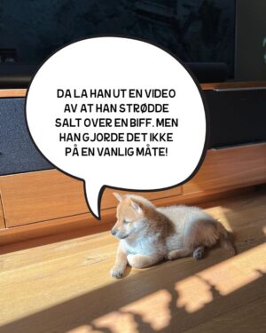 Hasse Hope Instagram - Valpen min har blitt storyteller! Håper dere vil gi ham den respekten og oppmerksomheten han fortjener 🙂