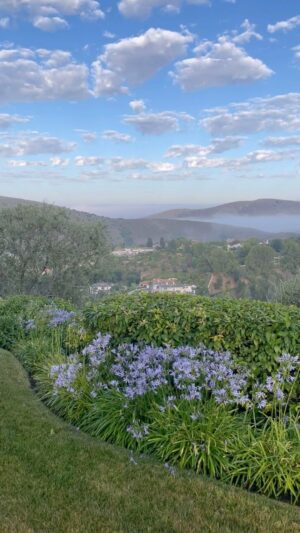 Heather Locklear Instagram - Exquisite morning 🩵 thank you God🙏🏻