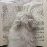 Heather Locklear Instagram - #mistersoberaf#loverecovery#grateful