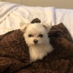 Heather Locklear Instagram - It’s chilly