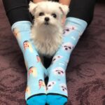Heather Locklear Instagram - Steppin out with my babes @divvyup