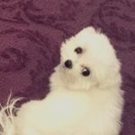 Heather Locklear Instagram – Love