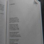 Helena Caldeira Instagram - Tanta Liberdade 1o episódio da @a.criatura_ para a @lobomau.producoes , há 2 anos. Podia ter sido hoje. Texto, conceito e Mis em Scéne : @caldeira_helena Realização, fotografia e edição: @jorge.imagination Curadoria : @ruinetoneto Assistência : @statt_miller Link na bio