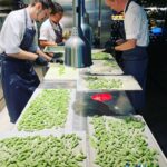 Henri Alén Instagram – Gnocchi❤️
Mikä on parempi paikka turista päivän polttavat puheenaiheet kun gnocchien äärellä. Paljon käsityötä jokaista pientä palleroa kohtaan, mutta sen tuntee sitten suussa. Pehmeä, kuohkea ja tuore gnocchi on parasta. Ja tietysti puikula perunasta.
@restaurantfiasco , etelärannan pikku Italia❤️
#teamwork #gnocchi #fiasco? #pasta #bene #Helsinki #weloveitaly #handmade