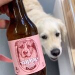 Henri Alén Instagram – Huono reissu..

Luulit saavasi herkkuja ja kaljaa, ja ilme kun saitkin tossut..😤

#lasittunutkatse #murrenmurkina #vuppe #tossut #seljathedog #goldenretriever #dogsofinstagram