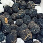 Henri Alén Instagram – Tarrrrtufo!

Kukaan teistä ei arvaa mitä ens viikolla tulee @restaurantfiasco menulle? 

Vinkki: Sitä on mustaa ja valkoista, asuu maan uumenissa. Sitä syödessä ei voi murehtia. Se naurattaa. 

#vihdoin #season #syksyalkaa #tubermelanosporum #tuberaestivum #tubermagnatumpico
