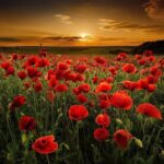 Henry Cavill Instagram - They went with songs to the battle, they were young, Straight of limb, true of eye, steady and aglow. They were staunch to the end against odds uncounted; They fell with their faces to the foe. They shall grow not old, as we that are left grow old: Age shall not weary them, nor the years condemn. At the going down of the sun and in the morning We will remember them. #RemembranceDay #LestWeForget