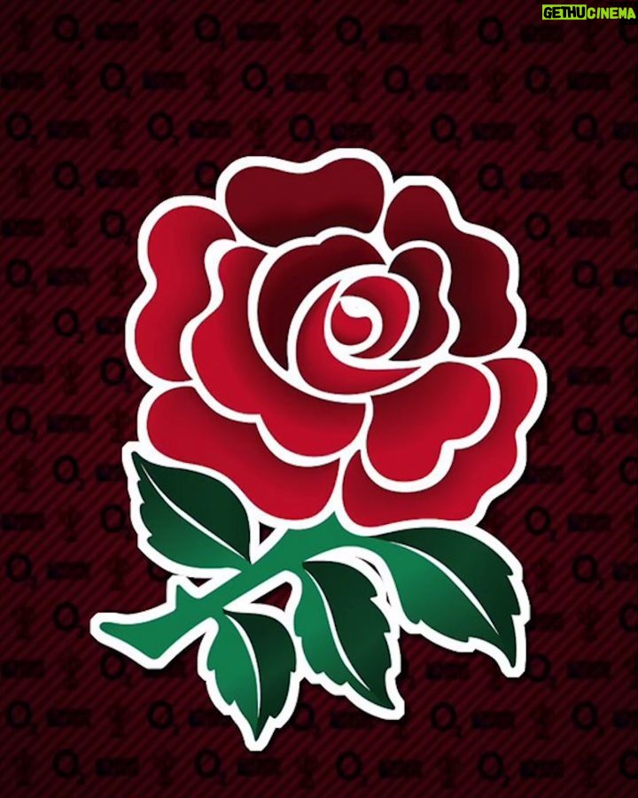Henry Cavill Instagram - The day has come. It's time for St George to slay the Welsh Dragon! C'mon England!!! For those not in the know, this weekend is the second to last weekend of the Six Nations Rugby tournament. All is to play for. #SixNations #Rugby #EnglandRugby #England #WearTheRose #Hector