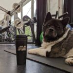 Henry Cavill Instagram - My two essential gym buddies. @MuscleTech #AminoBuild #Kal #GymBuddies