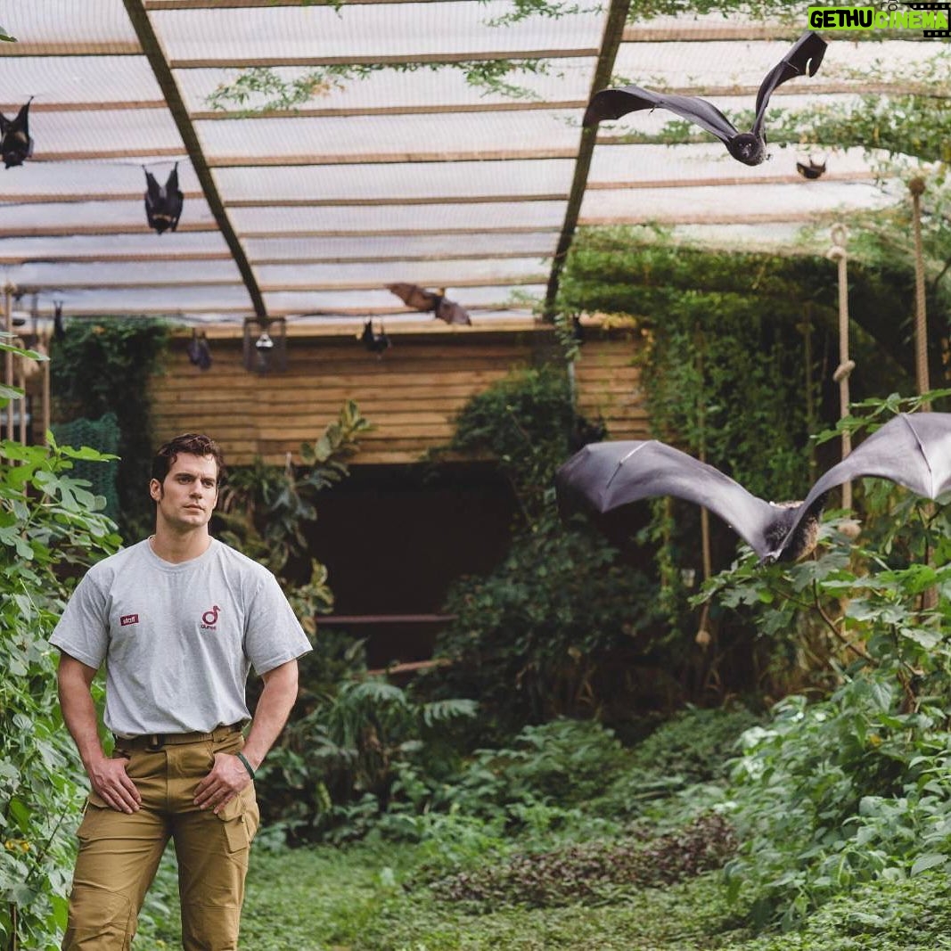 Henry Cavill - 2.2 Million Likes - Different years, different gears, and even a superteam slaying moustache! All during the Durrell Challenge. Which, once again, fast approaches.
For those not in the know, The Durrell Wildlife Conservation Trust is a charity that focuses on saving animal species that are on the brink of extinction. And you lucky folks have the opportunity to help out said, adorable, nigh extinct little beasties by running The Challenge and raising some always appreciated funds for them!
You can take part virtually or go to Jersey in person and visit the famous Jersey Zoo itself! It's a 13km run and it will take place on Sunday 22 May in Jersey or, if you are running it virtually you can do so from Friday 20 May to Monday 23 May.
All the deets are in my bio!
@TheDurrellChallenge
@Durrell_JerseyZoo
#DoItForDurrell
#DurrellChallenge2022